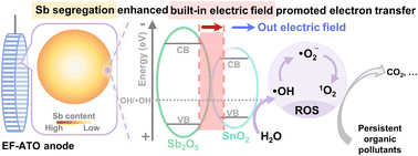 Graphical abstract: Self-supported antimony tin oxide anode with Sb segregation promoted atrazine removal