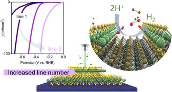 Graphical abstract: Path-dependent hydrogen evolution reaction via selective etching of bilayer MoS2 catalysts