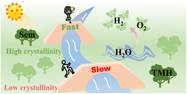 Graphical abstract: Engineering the transition metal hydroxide–photoanode interface with a highly crystalline mediator for efficient photoelectrochemical water splitting