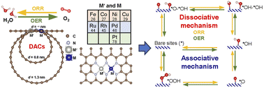 Graphical abstract: DFT screening of dual-atom catalysts on carbon nanotubes for enhanced oxygen reduction reaction and oxygen evolution reaction: comparing dissociative and associative mechanisms