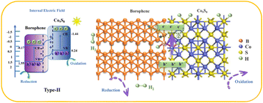 Graphical abstract: Efficient interfacial charge transfer: establishing a B–Co electron bridge and heterojunction synergistic enhancement of hydrogen evolution activity between borophene and Co9S8