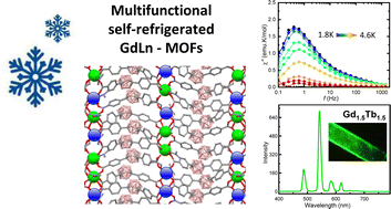 Graphical abstract: Multifunctional self-refrigerated multivariate {GdLn} (Ln = Dy, Tb, Tb/Eu) metal–organic frameworks