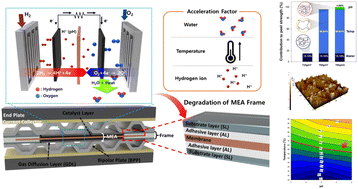 Graphical abstract: Unveiling the long-term degradation mechanisms of the sealing structures for durable PEM fuel cells by ex situ accelerated stability evaluation of a membrane electrode assembly