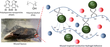 Graphical abstract: Mussel-inspired sticky self-healing conductive hydrogels composites for physiological electrical sensing