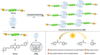 Graphical abstract: Construction of supramolecular linear polymers based on pyridinium modified anthraquinone and cucurbit[8]uril for visible-light-induced valorization of lignin models