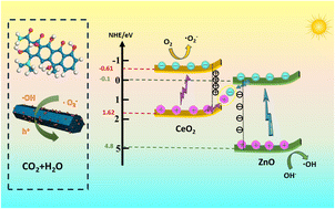 Graphical abstract: 1D rod-like {220}-faceted CeO2/ZnO S-scheme heterojunctions: design, photocatalytic mechanism and DFT calculations