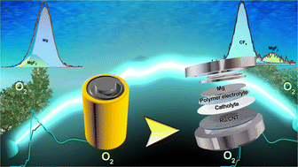Graphical abstract: Polyethylene oxide-based solid-state polymer electrolyte hybridized with liquid catholyte for semi-solid-state rechargeable Mg–O2 batteries