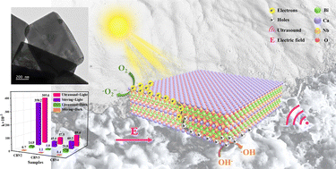 Graphical abstract: Ultra-high piezo-photocatalytic performance of (Na, Sm) co-doped CaBi2Nb2O9 nanoplates by the surface effect