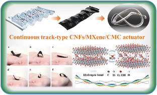 Graphical abstract: A carbon nanofiber/Ti3C2Tx/carboxymethyl cellulose composite-based highly sensitive, reversible, directionally controllable humidity actuator and generator via continuous track-inspired self-assembly