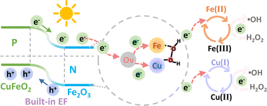 Graphical abstract: Interlayer-release synthesis of Cu single atoms anchored on a heterogeneous photocatalyst for constructing Cu–Ov–Fe bimetallic active sites with ultrafast kinetics of activation of H2O2