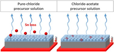 Graphical abstract: Mitigating Sn loss via anion substitution in the Cu2+–Sn2+ precursor system for Cu2ZnSn(S, Se)4 solar cells