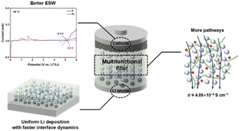Graphical abstract: Utilizing Li4Ti5O12 as multifunctional filler in composite solid electrolyte for all-solid-state lithium metal battery