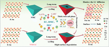 Graphical abstract: Achieving dynamic stability of single-crystal low-Co Ni-rich cathode material for high performance lithium batteries
