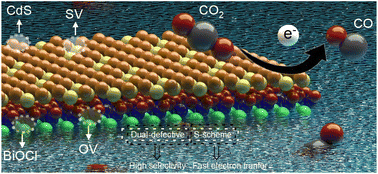 Graphical abstract: Selective CO production via a dual-defective CdS/BiOCl photocatalyst for CO2 photoreduction
