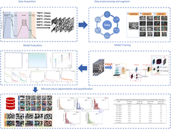 Graphical abstract: An automatic segmentation and quantification method for austenite and ferrite phases in duplex stainless steel based on deep learning