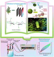 Graphical abstract: Advancements in biomass-derived cellulose composite electrodes for supercapacitors: a review