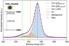 Graphical abstract: Exploring the stability and protonic conductivity in W- and Mo-substituted LaNbO4 under a reducing atmosphere