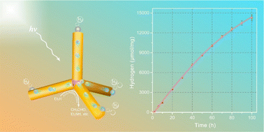 Graphical abstract: Accumulated photogenerated holes in type-II ZnSe/CdS nanotetrapods for efficient photocatalytic hydrogen evolution