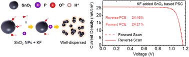 Graphical abstract: Additive engineered SnO2-based electron transport layer for the robust and high-efficiency large-scale perovskite solar cell
