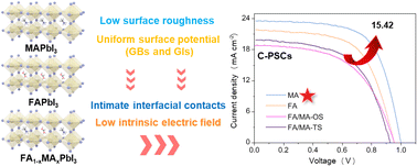 Graphical abstract: Probing the key roles of the back interface in the performance of carbon-based hole-transport-layer free perovskite solar cells