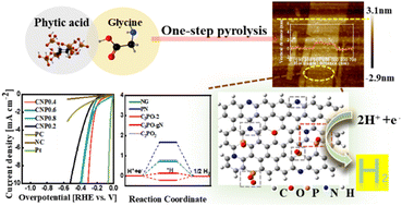 Graphical abstract: Undemanding synthesis of N,P co-doped carbon nanosheets for the hydrogen evolution reaction: combining experimental quantitative analysis and DFT calculation corroboration