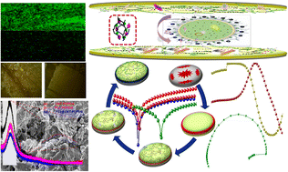 Graphical abstract: Mechanically robust bifunctional hydrophobic polycarbazole-decorated multiwall carbon nanotube-Pithecellobium dulce oil polyester amide nanocomposite coatings: fabrication, characterization, anticorrosive and antimicrobial studies