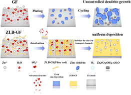 Graphical abstract: Zein improved GF separator for dendrite-free aqueous zinc-ion batteries