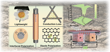Graphical abstract: Lure the “enemy” deep: an innovative biomimetic strategy for enhancing the microwave absorption performance of carbon nanofibers