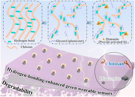 Graphical abstract: Hydrogen-bonding-enhanced green wearable sensors with high generation performance and low Young's modulus