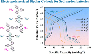Graphical abstract: Electropolymerized organic N/P bipolar cathode toward high energy and high power density sodium dual-ion batteries