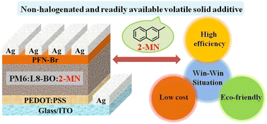 Graphical abstract: Methylated naphthalene additives with various melting and boiling points enable a win–win scenario of optimizing both cost and efficiency of polymer solar cells