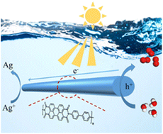 Graphical abstract: Linear PDI-based conjugated polymers with directional charge transport driving photocatalytic water oxidation