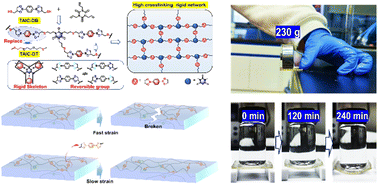 Graphical abstract: Rigid-flexible dynamic polymers based on borate bonds
