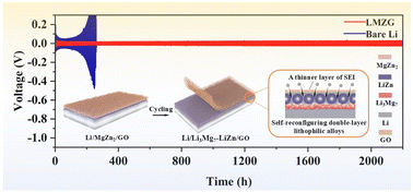 Graphical abstract: Synergistic action of spatially self-reconfiguring bilayer lithiophilic alloys and inorganic passivation layers for enhancing Li metal anode performance