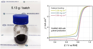 Graphical abstract: Gram-scale production of an Fe single atom catalyst and mass transfer enhancement in PEMFCs