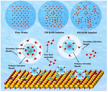 Graphical abstract: Revealing the hydrogen bond network effect at the electrode–electrolyte interface during the hydrogen evolution reaction