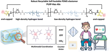 Graphical abstract: Toughening self-healable and recyclable PDMS supramolecular elastomers through an end-capping agent and a metallic crosslinker