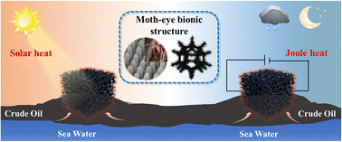 Graphical abstract: Bio-inspired polypyrrole nanowire arrays on melamine foam with high-performance photo/electro-thermal conversion for all-weather cleanup of crude oil
