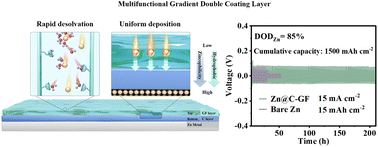 Graphical abstract: Design of a multifunctional gradient double coating layer for a stable thin zinc anode with high depth of discharge