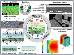 Graphical abstract: Recent advances and challenges in degradation issues of direct ammonia solid oxide fuel cells: comprehensive review