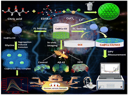 Graphical abstract: Ca@Cu-CD nanoprobe for dual detection of glycine and ex vivo glycine imaging