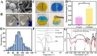Graphical abstract: Dental cementum anchored microspheres embedded in a self-healing hydrogel for the antibacterial, anti-inflammation, osteogenic, and anti-osteoclastic management of periodontitis disease