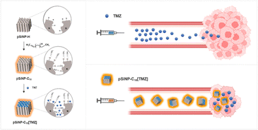 Graphical abstract: Use of surface-modified porous silicon nanoparticles to deliver temozolomide with enhanced pharmacokinetic and therapeutic efficacy for intracranial glioblastoma in mice