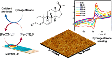 Graphical abstract: Portable smartphone-enabled dydrogesterone sensors based on biomimetic polymers for personalized gynecological care