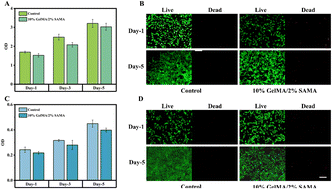 Graphical abstract: Effect of magnesium and calcium ions on the strength and biofunctionality of GelMA/SAMA composite hydrogels
