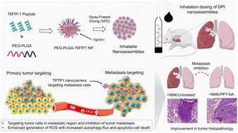 Graphical abstract: Targeted delivery of the metastasis-specific tumour homing TMTP1 peptide to non-small-cell lung cancer (NSCLC) using inhalable hybrid nano-assemblies