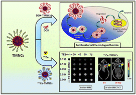 Graphical abstract: pH-Responsive magnetic nanocarriers for chelator-free bimodal (MRI/SPECT-CT) image-guided chemo-hyperthermia therapy in human breast carcinoma