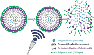 Graphical abstract: Collagen nanobubbles as efficient carriers for targeted controlled release of ibrutinib
