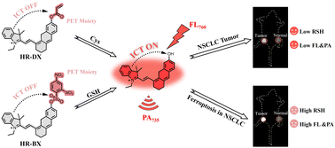 Graphical abstract: Illuminating cisplatin-induced ferroptosis in non-small-cell lung cancer with biothiol-activatable fluorescent/photoacoustic bimodal probes