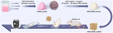 Graphical abstract: Regulation of the diabetic immune microenvironment by metformin-loaded strontium-doped mesoporous bioactive glass facilitates bone regeneration